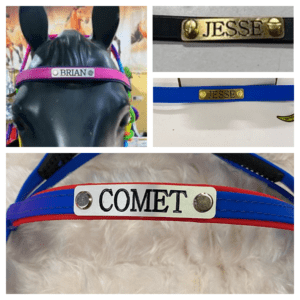 Browband With Name Tag Engraved