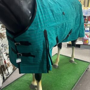 Eureka Deluxe Canvas  Rug