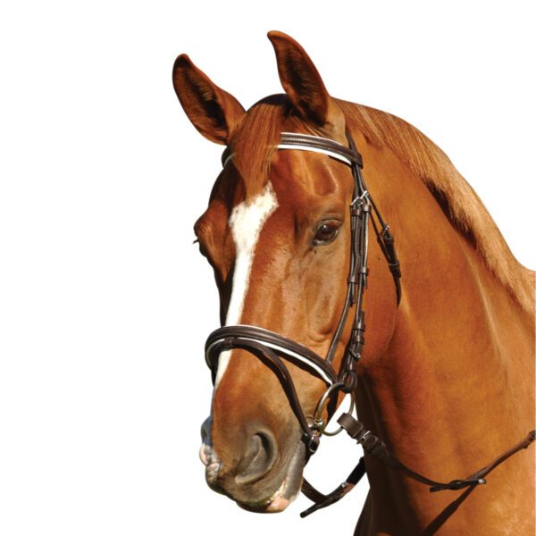 Horse Equestrian Eureka Leather Eventing Bridle & Reins Black Or Brown