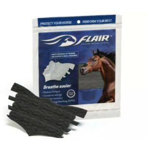 flair horse black and white