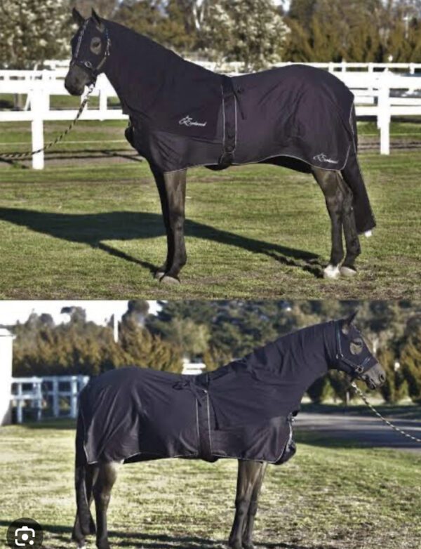 Earlwood Black Label Cotton Show Rug Hood & Tailbag - Image 3