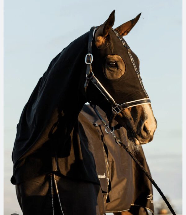 Earlwood Black Label Cotton Show Rug Hood & Tailbag - Image 2