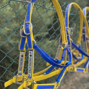 Two Tone Headstall/Halter With N.P Fittings & Name Tag