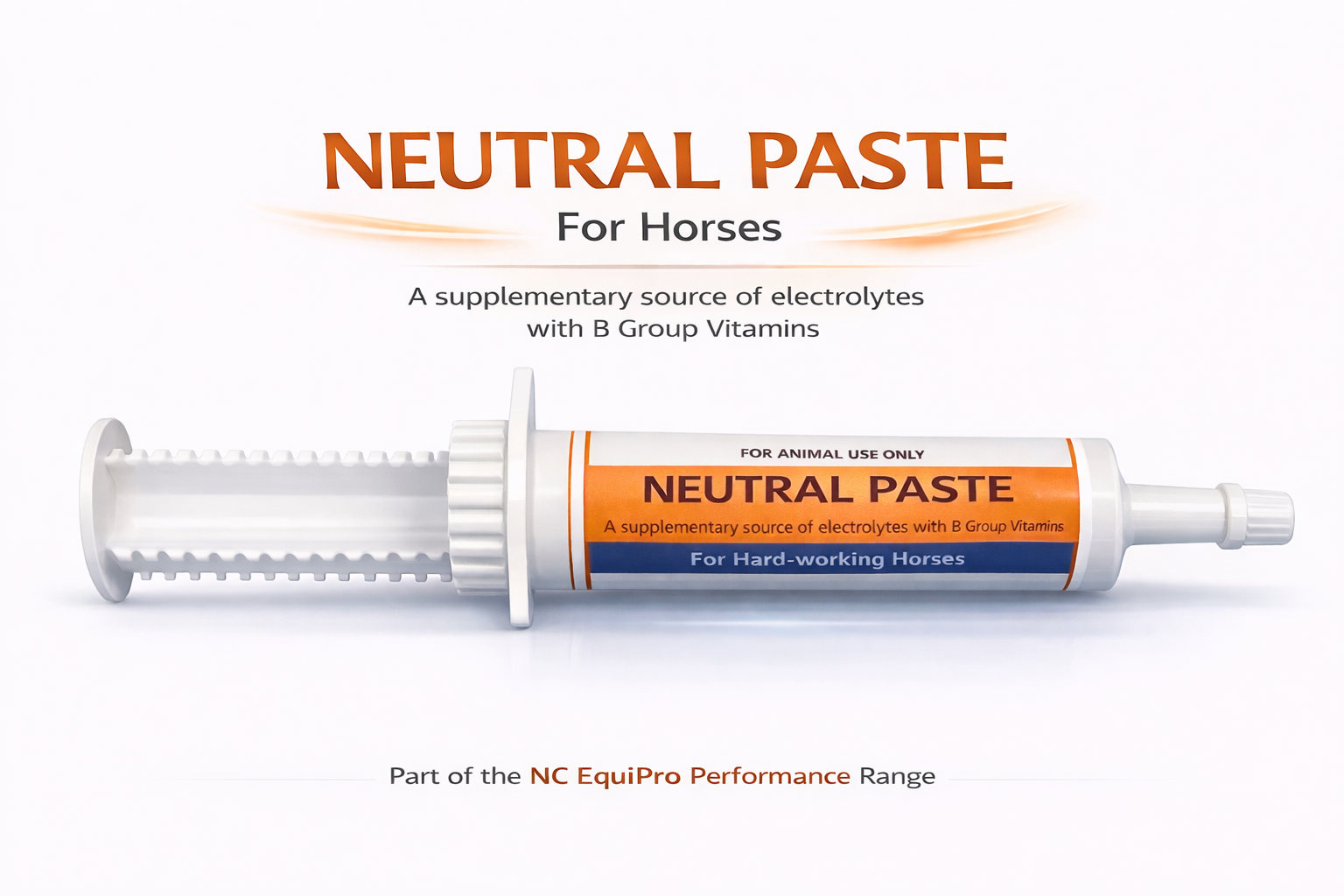 Neutral Paste Electrolyte Supplement – With B Group Vitamins 60ml (Double Dose)