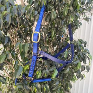 Halter/Headstall Two Tone With Embroidered Name Tag