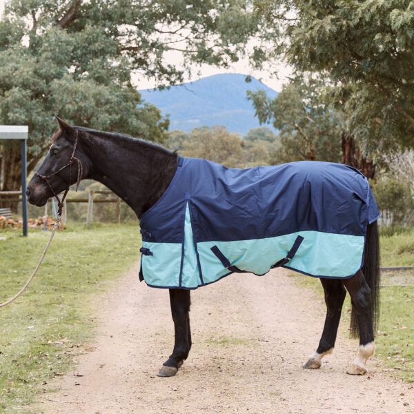 600D waterproof horse rug in navy and sky blue, shown on horse outdoors