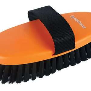 Gymkhana Body Brush