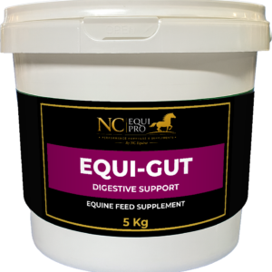 EQUI-GUT Digestive Support (1kg / 5kg) – Natural Montmorillonite Clay