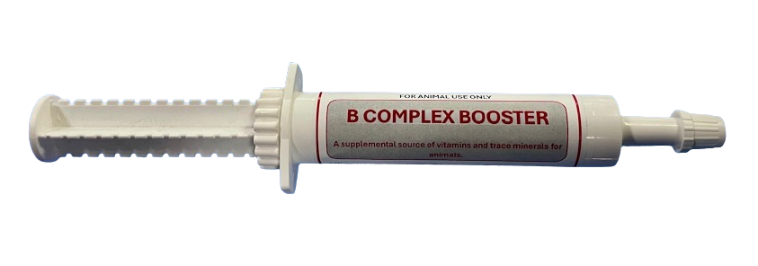 B-Complex Booster – Vitamin Supplement for Horses 30ml