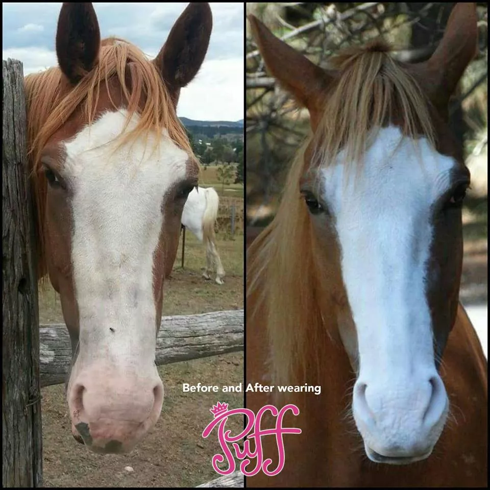 Puff Equine UV Powder - Image 2