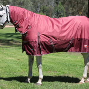 Zilco Explorer 200 Combo Rug 600D Waterproof 200g Horse Rug Combo