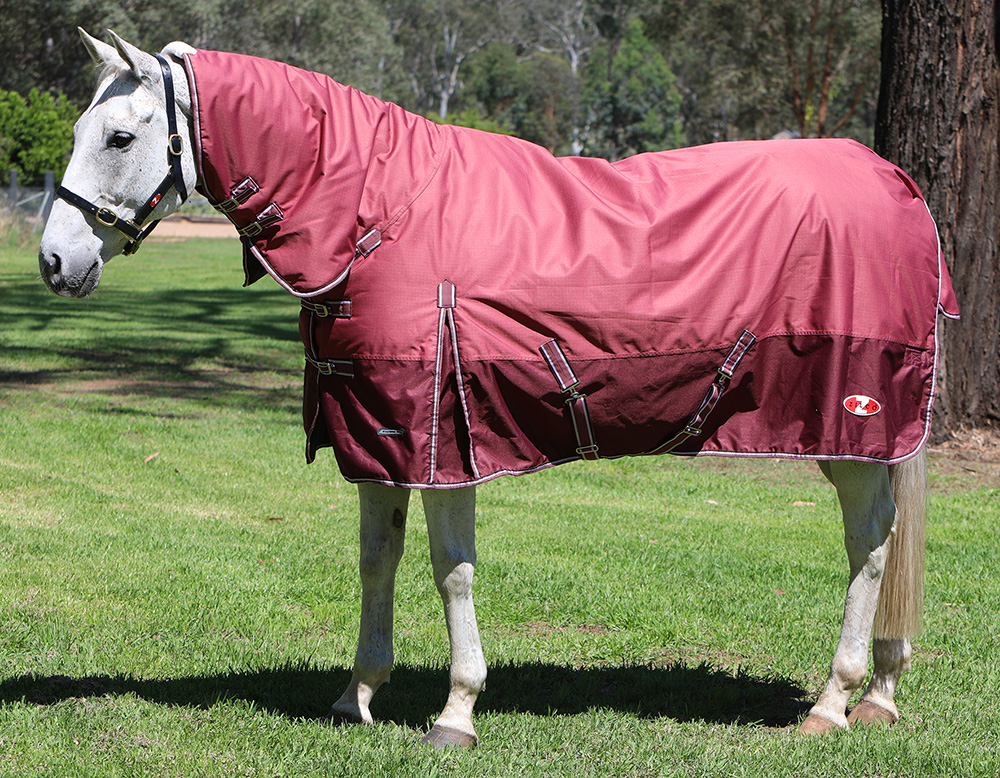 Zilco Explorer 200 Combo Rug 600D Waterproof 200g Horse Rug Combo