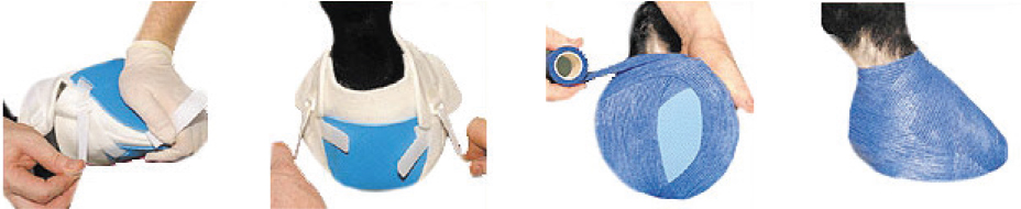 Decron Hoof Poultice Boot | Horse Hoof Treatment Boot - Image 2