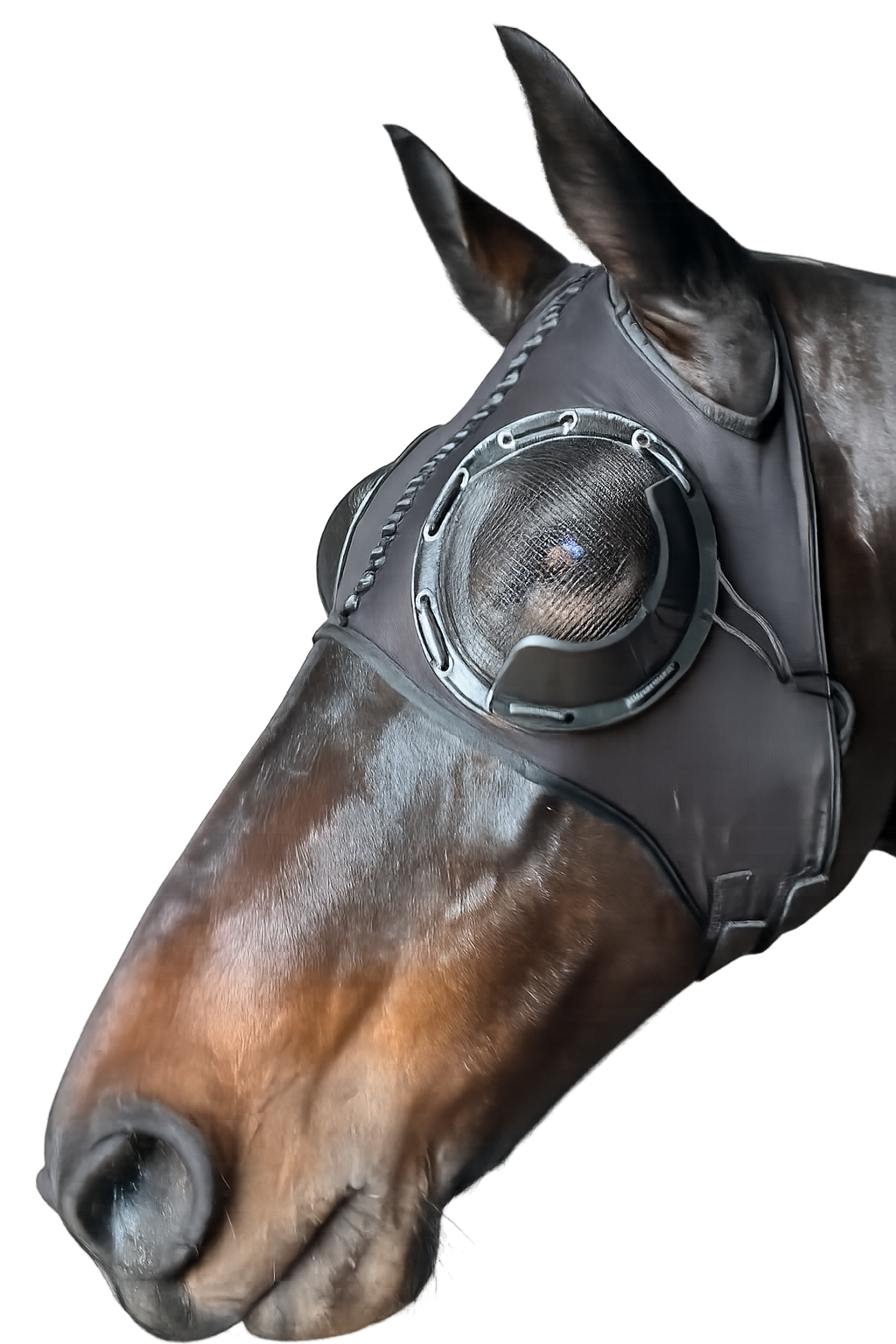 Gallop Lycra Race Hood With Mesh Eye cups with laced on Blinker Cups