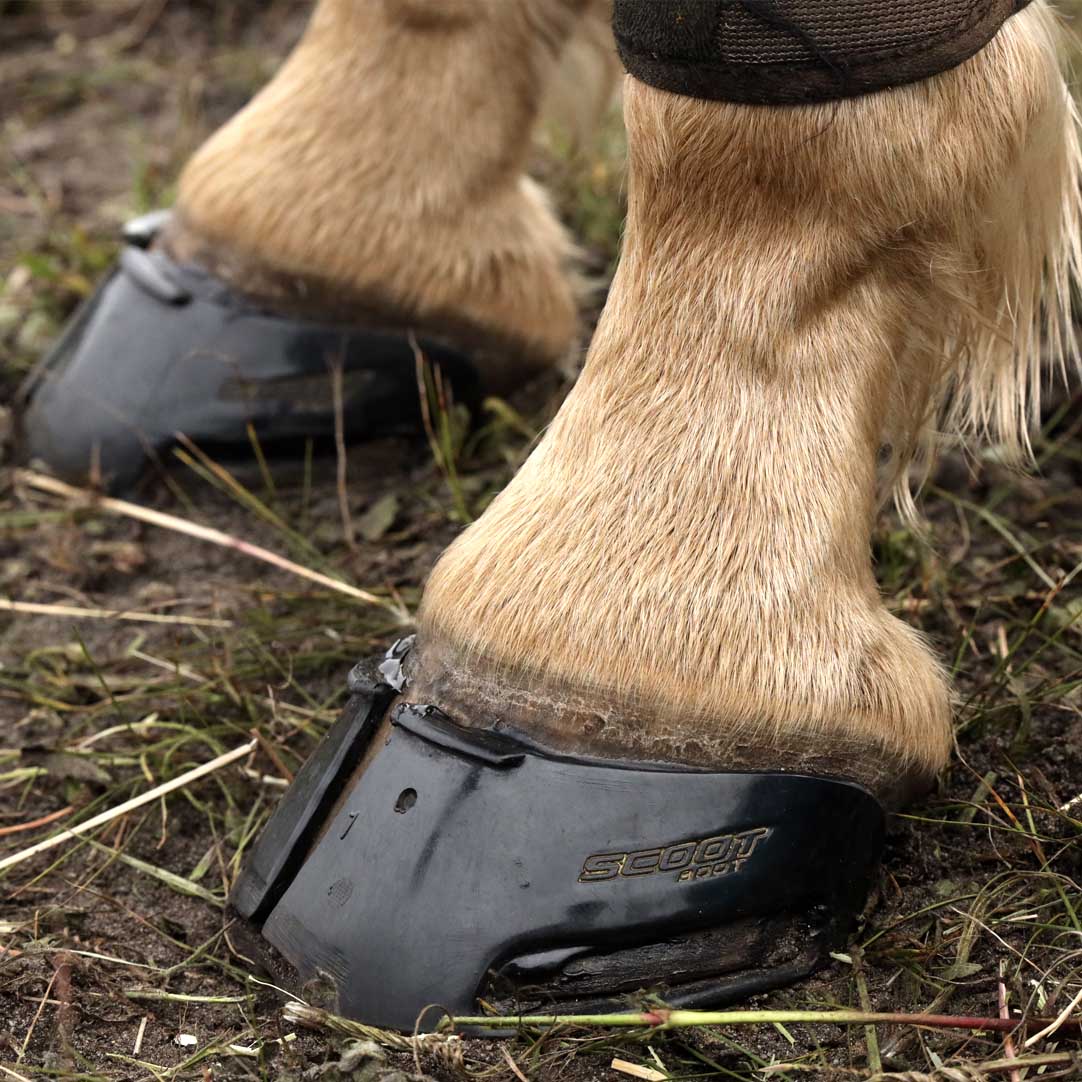 Scootboot Skin - Pair - Image 8