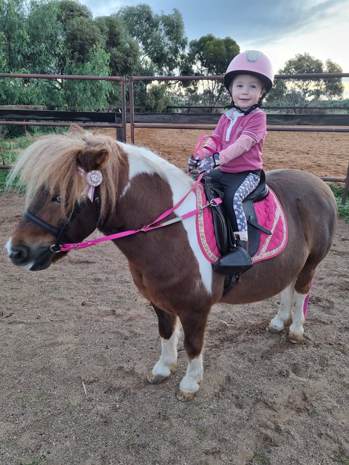 Contact Reins in PVC