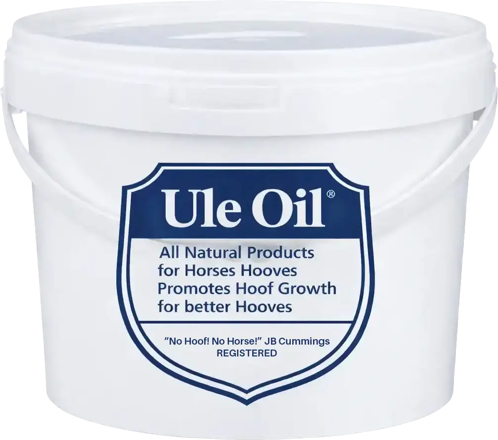 Ule Hoof Oil Treatment