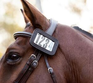 Cavalier Bridle Number Holder – 4 Digit Large