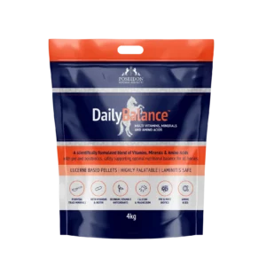 Poseidon Daily Balance