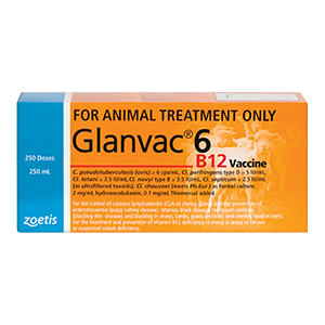 Glanvac 6 B12 250ml