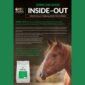 In-SideOut EAC
